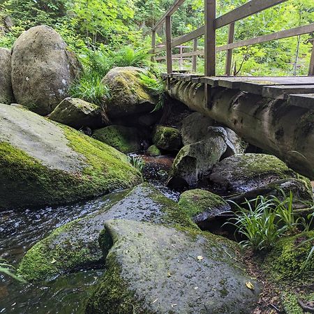 Waldgasthaus & Berghotel Steinerne Renne 베르니게로데 외부 사진